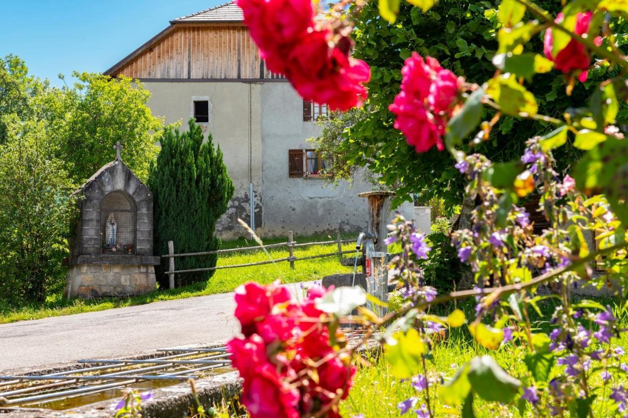 Votre studio balnéo bien-être à la montagne Thollon-les-Mémises Extérieur photo