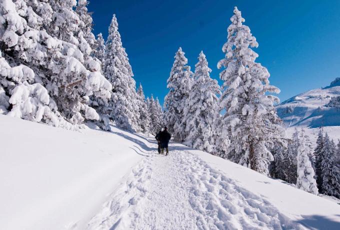 Votre studio balnéo bien-être à la montagne Thollon-les-Mémises Extérieur photo
