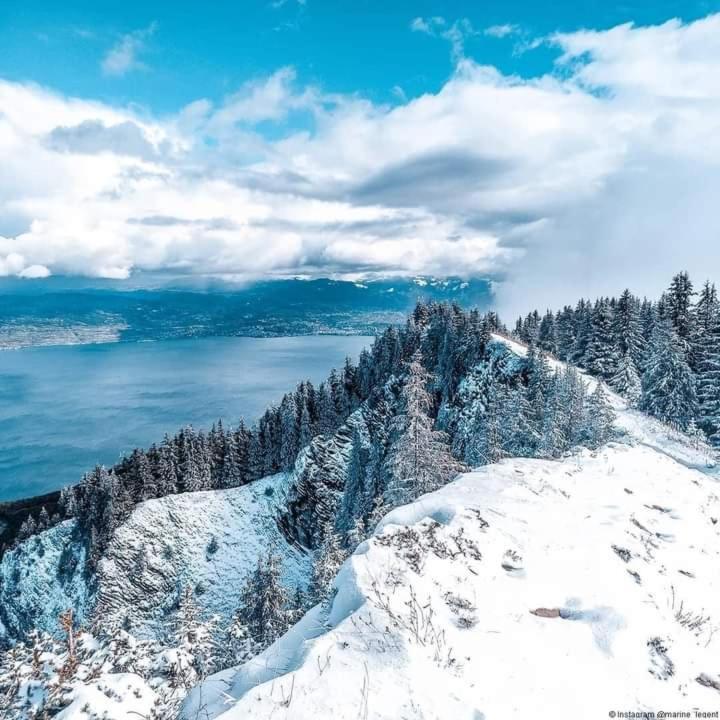 Votre studio balnéo bien-être à la montagne Thollon-les-Mémises Extérieur photo